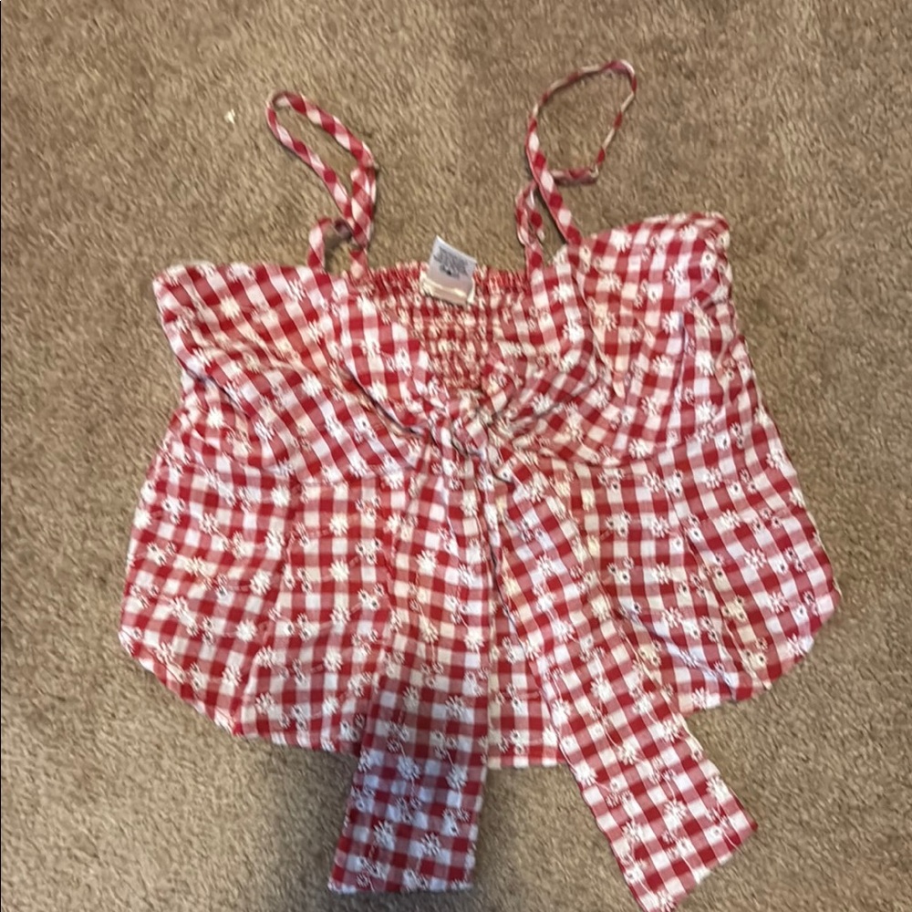 Red and White Gingham Crop Top